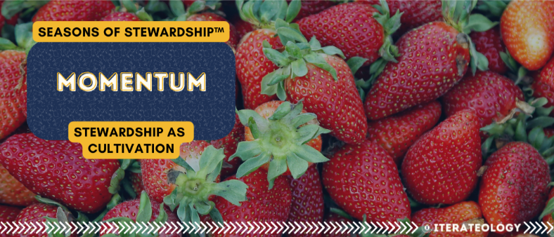 Seasons of Stewardship™ — Momentum (Stewardship as Cultivation) banner over ripe strawberries; sustainable marketing strategy that repurposes and compounds.