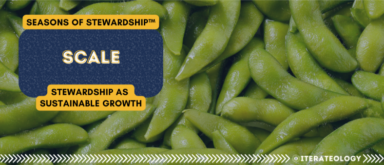 Seasons of Stewardship™ — Scale (Stewardship as Sustainable Growth) banner with edemame; capacity-based scaling—optimize, delegate, protect the core.
